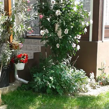 아파트 Apartmanhaz 잘라카로쉬